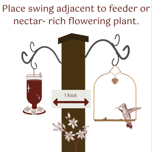 Hummingbird Swing (Choose your Style)