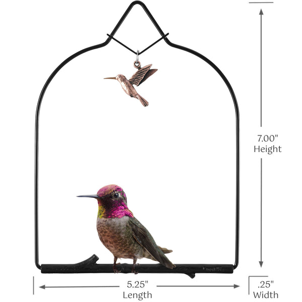 Pop's® Charm Hummingbird Swing