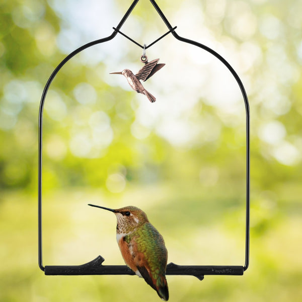 Pop's® Charm Hummingbird Swing