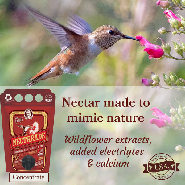 Pop's Birding - Nectarade® Liquid Hummingbird Nectar, Concentrate 50.7oz (Case of 9ct) - Default Title