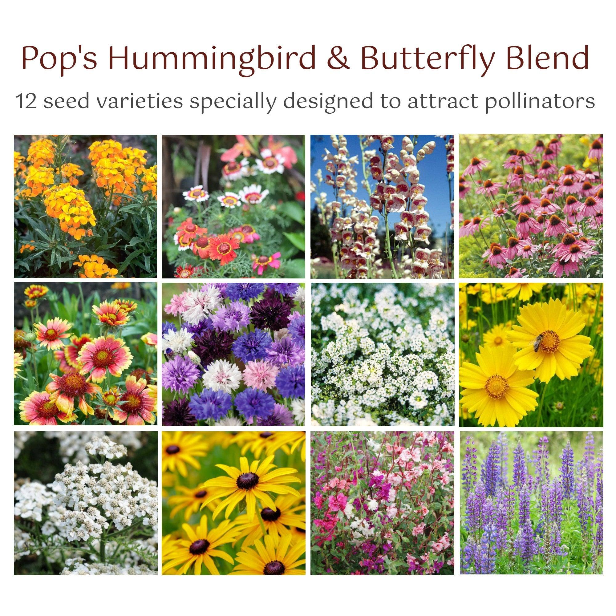 23 Hummingbird Butterfly Wildflower Seeds Mix for Planting Indoor &  Outdoors. 100,000+ Non-GMO, Heirloom