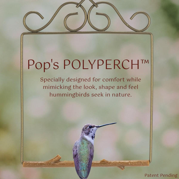 Pop's Birding - Original Hummingbird Swing (Case of 12ct) - Case Pack (12ct) / Onyx