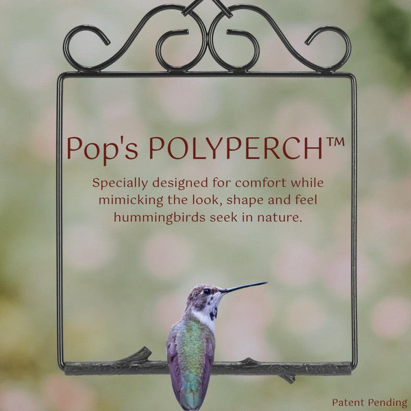 Pop's Birding - Original Hummingbird Swing (Case of 12ct) - Case Pack (12ct) / Onyx